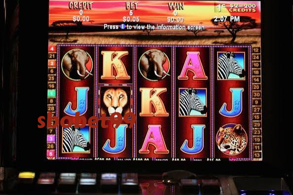 sbobet99 No Commission Baccarat On sbobet99